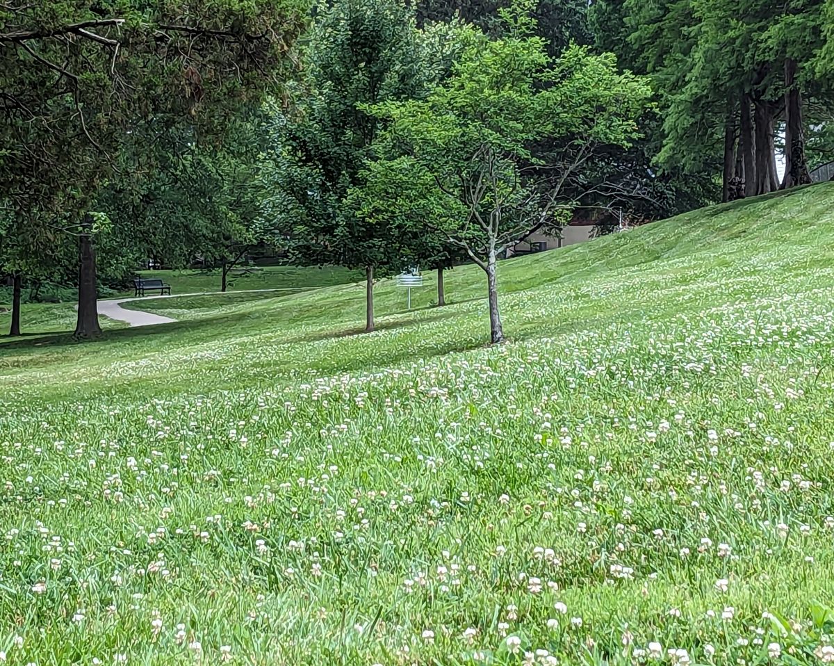 Hole 7