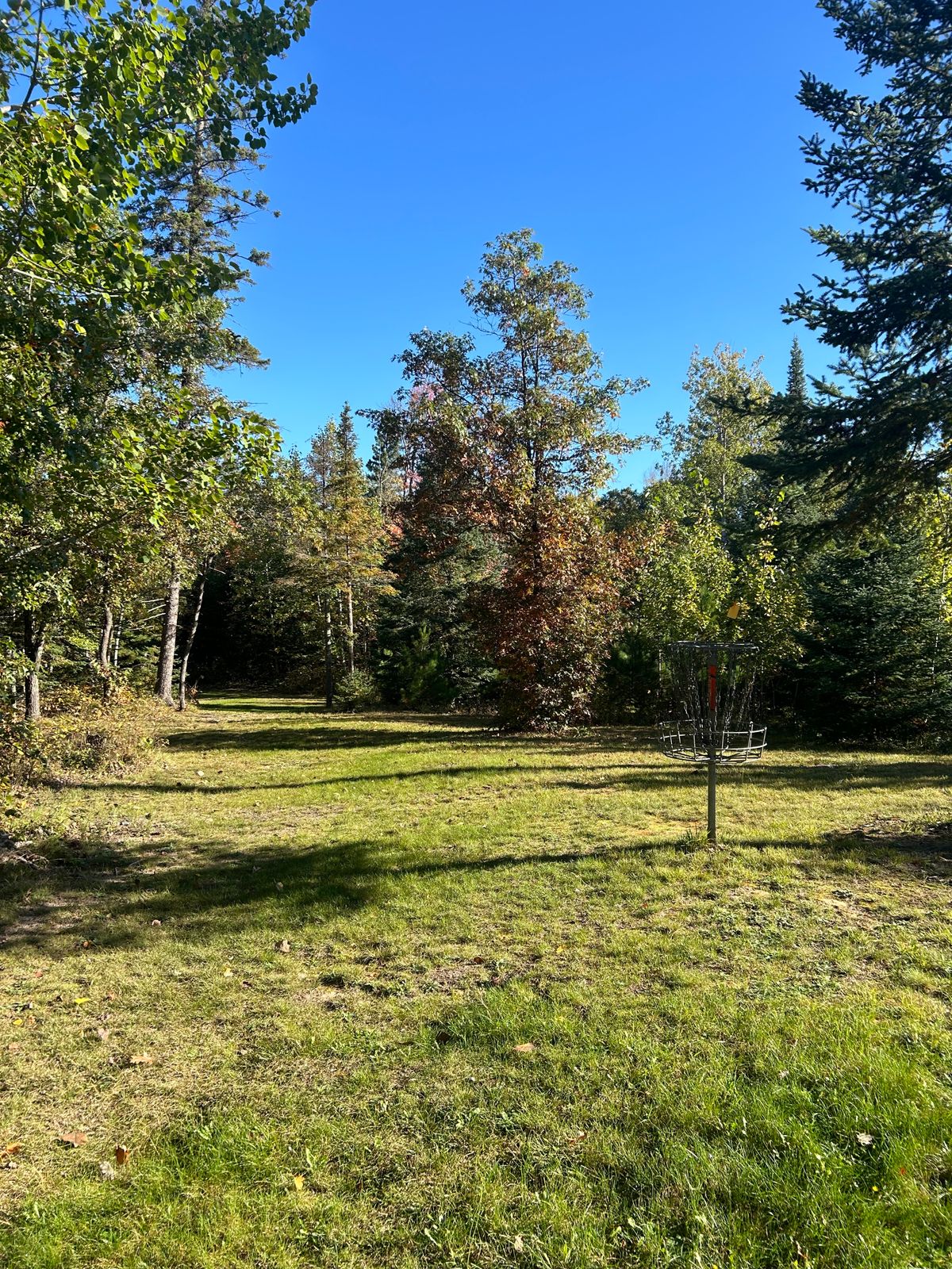Hole 8 short basket