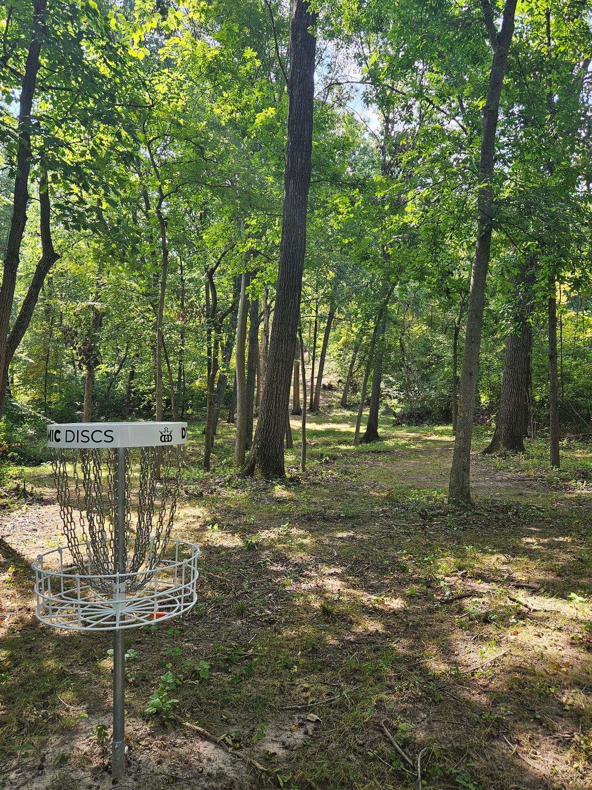 15 green to tee