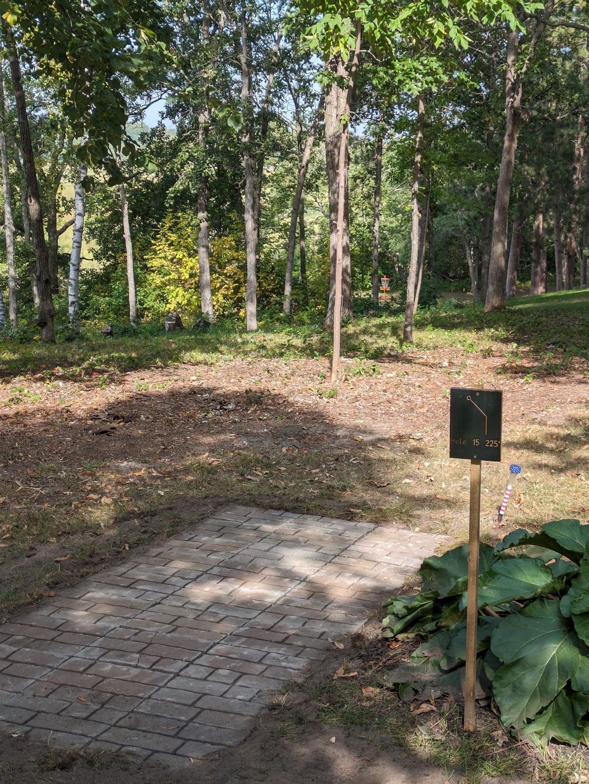 Hole 15