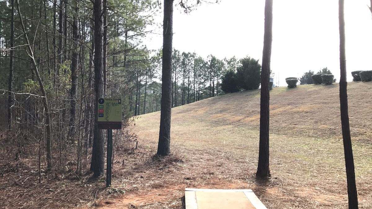Hole 7