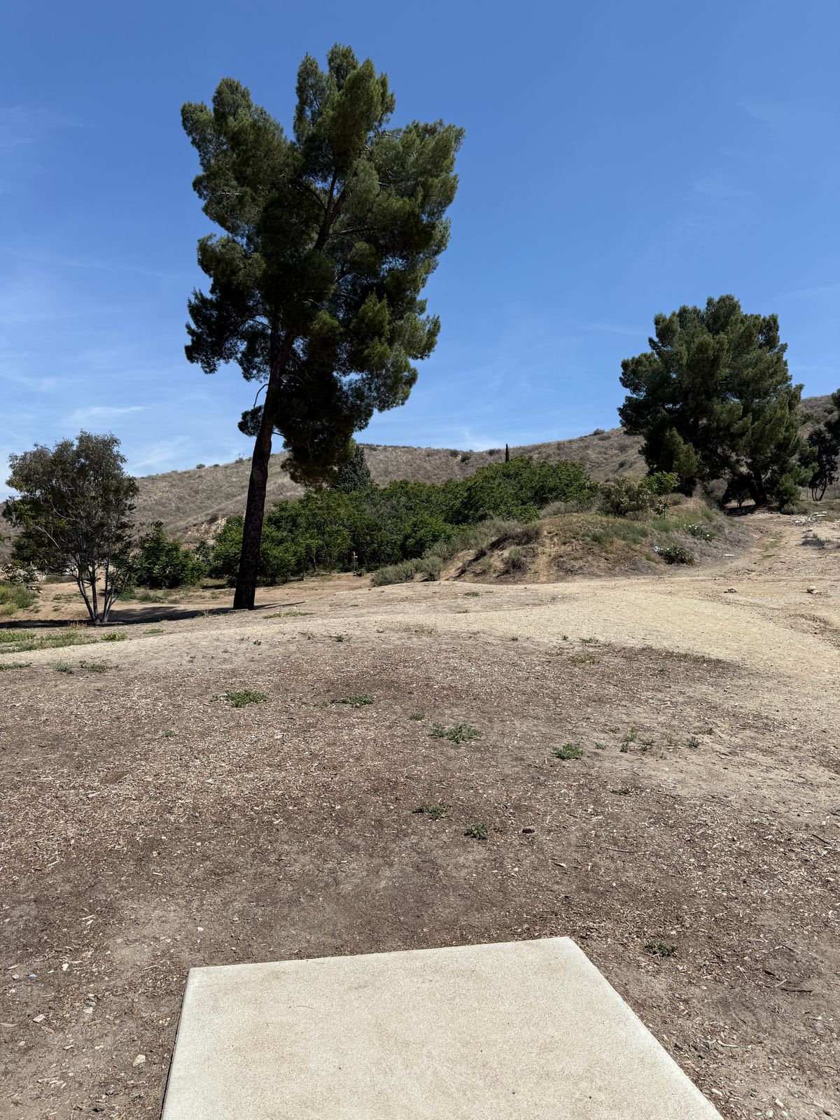 Hole 5 tee
