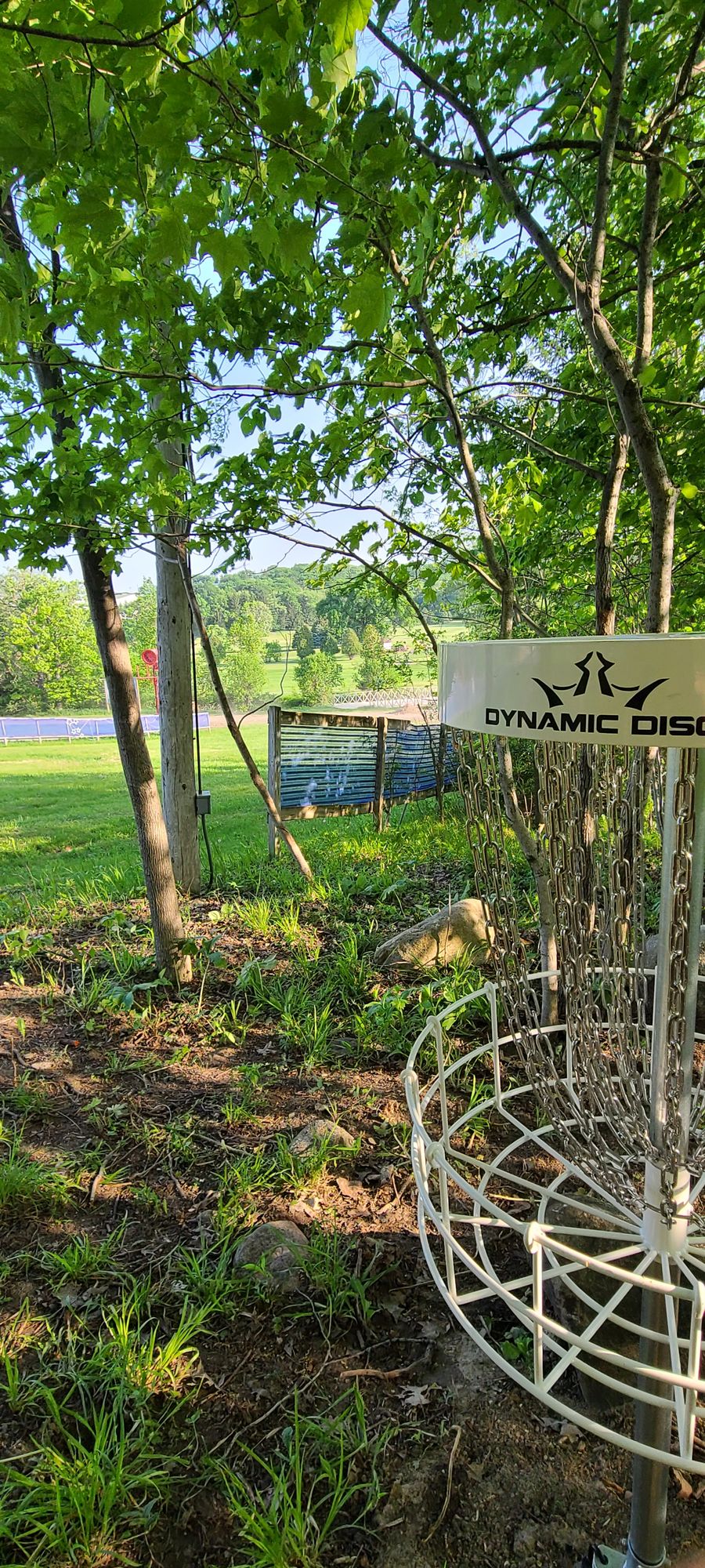 Hole 1 from basket