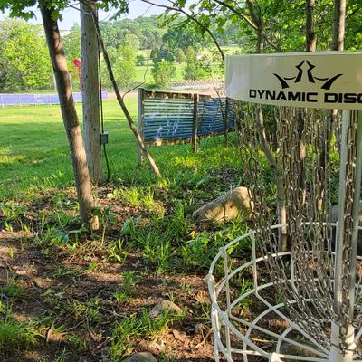 Hole 1 from basket