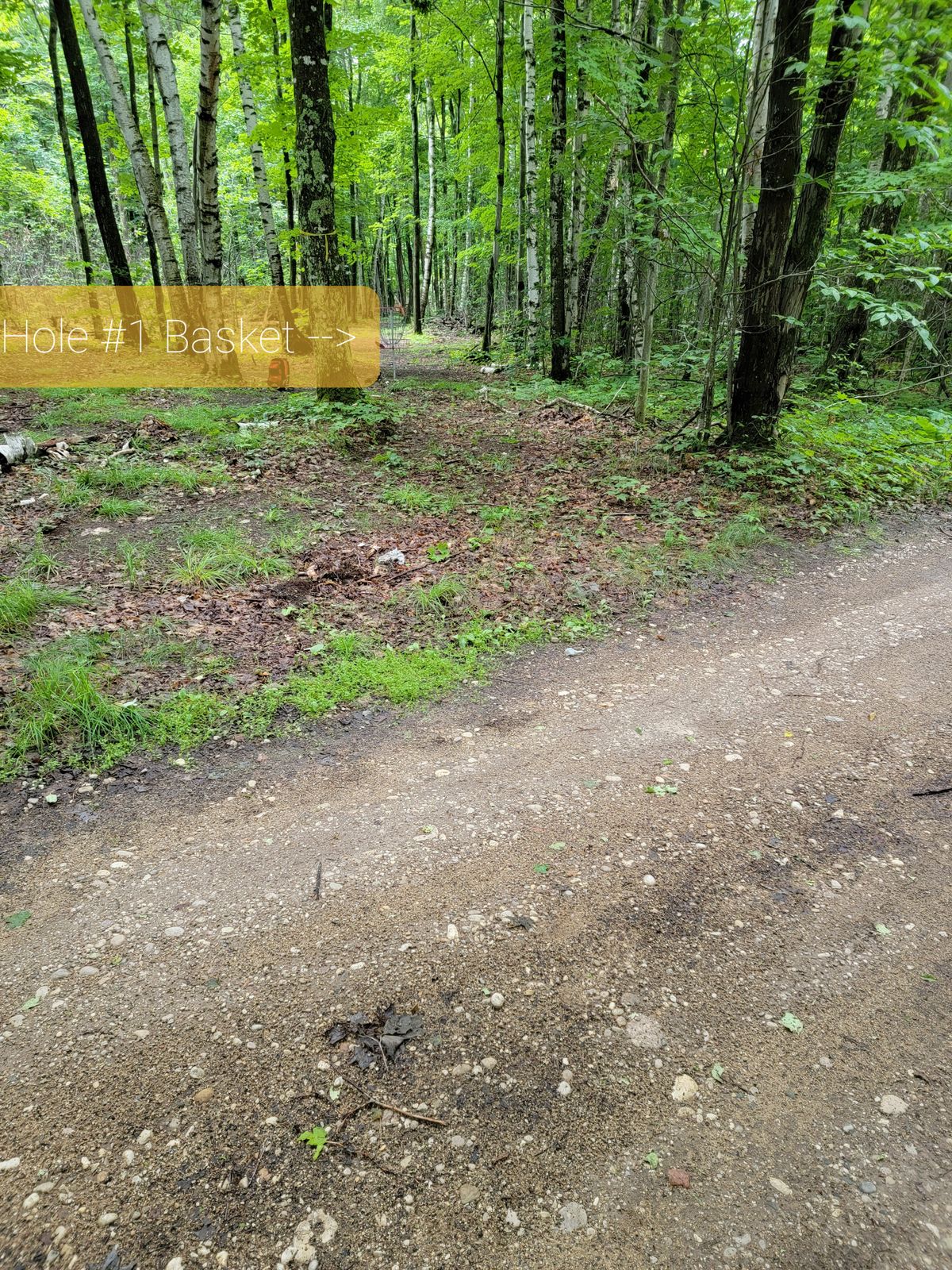 Hole 1 Basket
