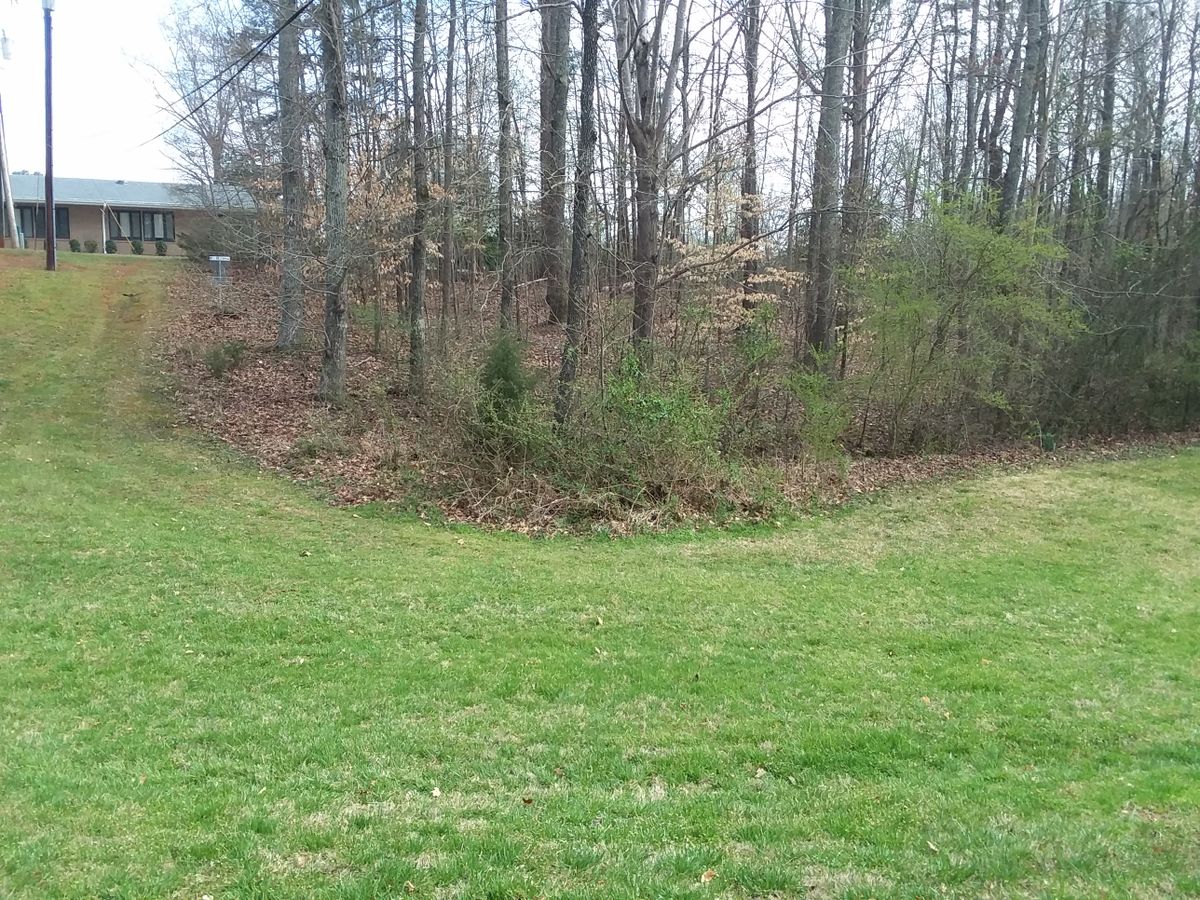#13 mid fairway. Basket on the upper left; tee box to the right (out of the picture.)
