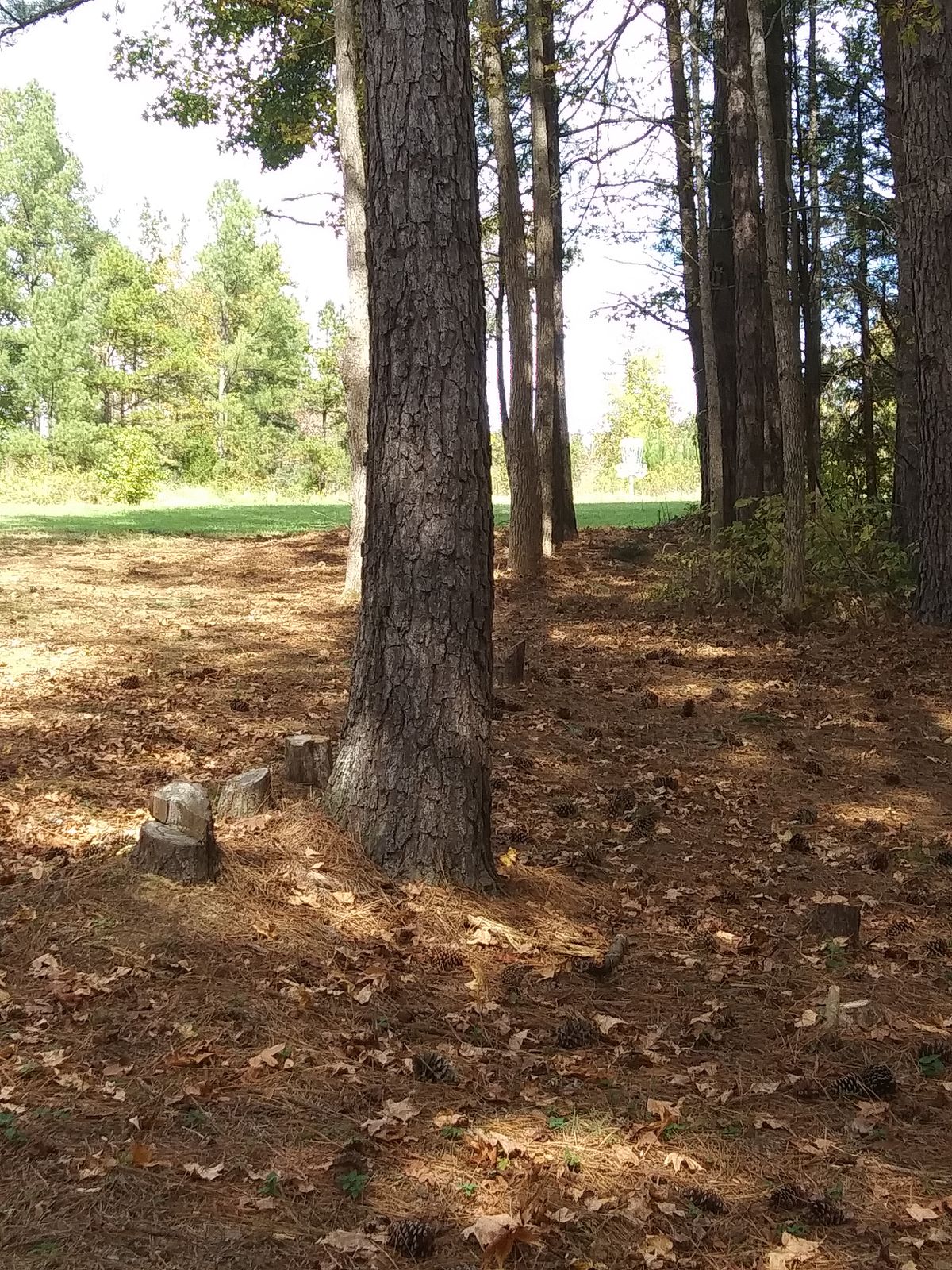 Hole 10 landing area to basket.