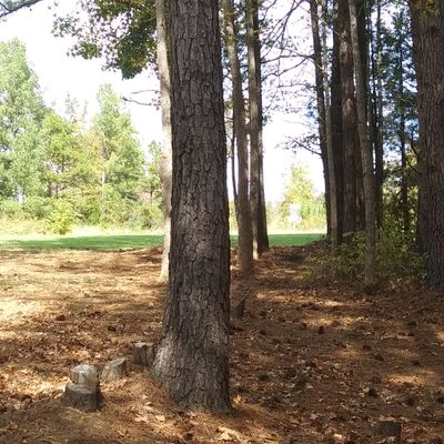 Hole 10 landing area to basket.