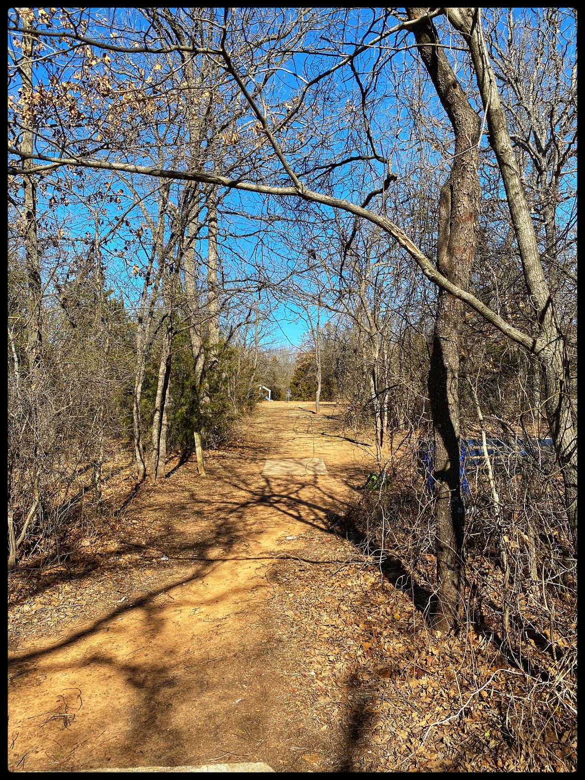 #4 Tees –> throwing north