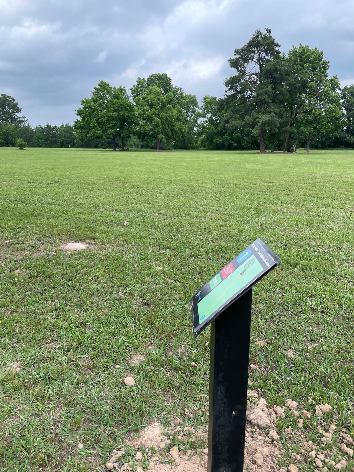 View from first tee. Basket is between the trees.