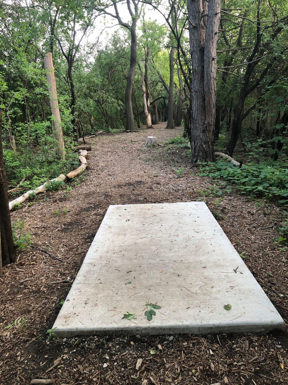 Hole #5 teepad