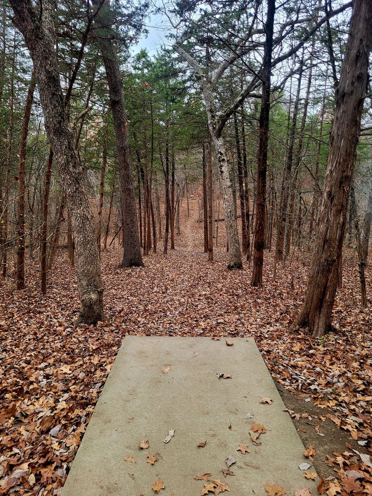 #10 Tee and narrow gap