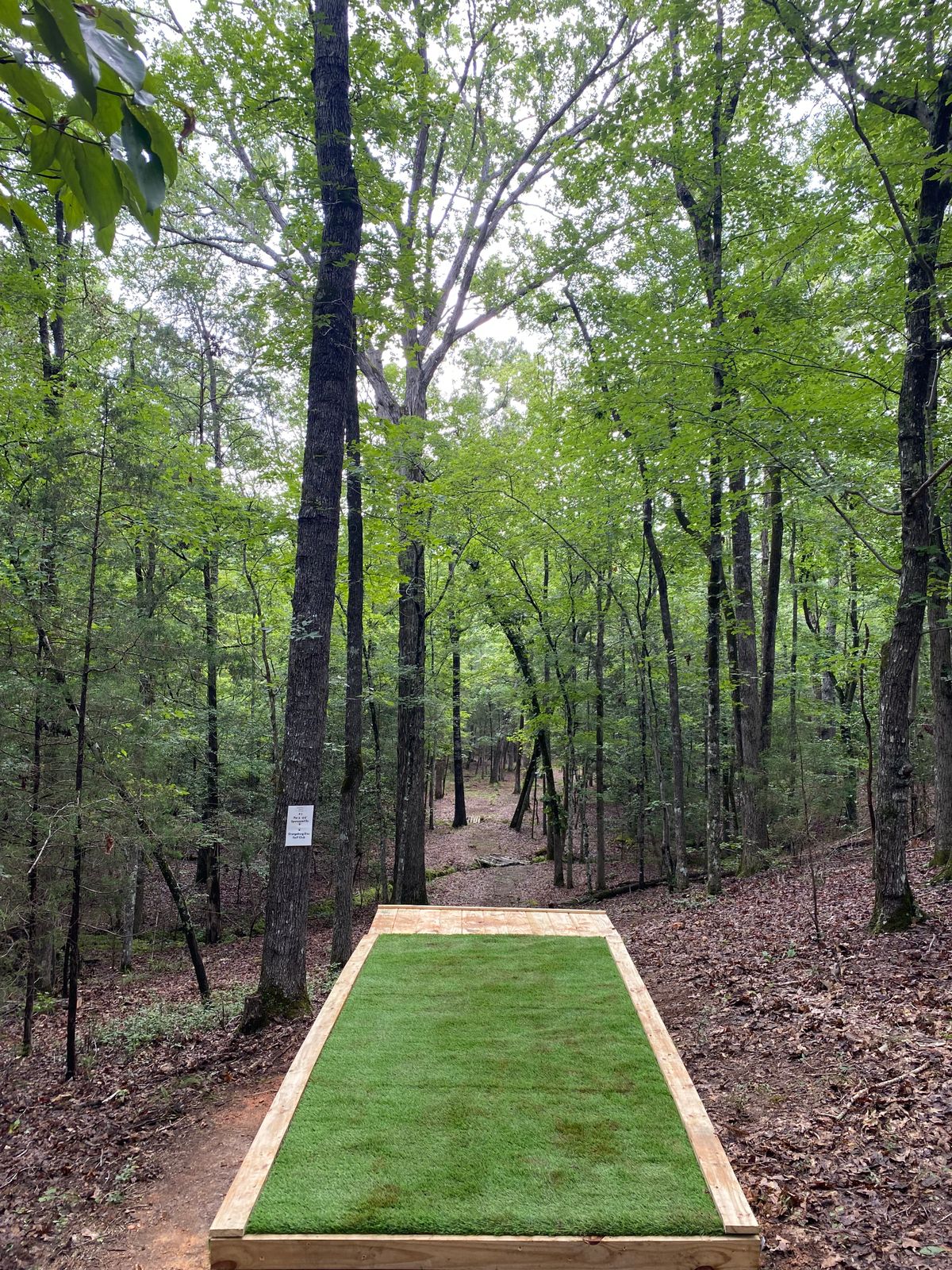 Hole 7 Tee