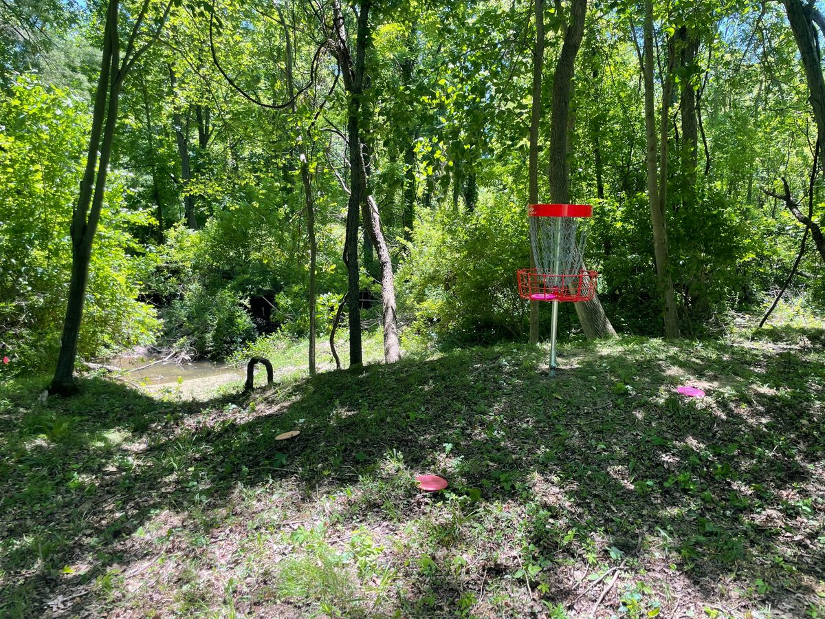 Hole 4 basket