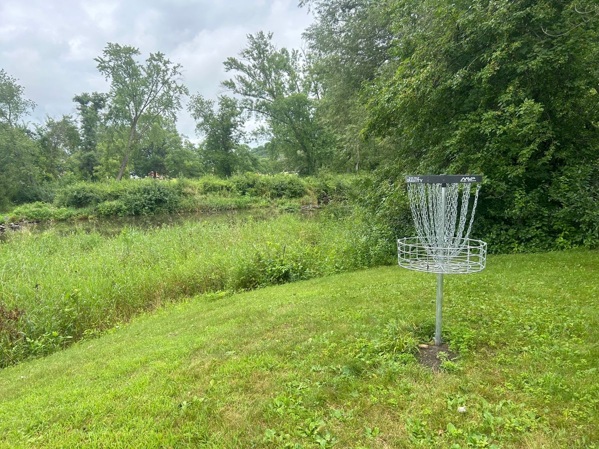 Hole 6 basket