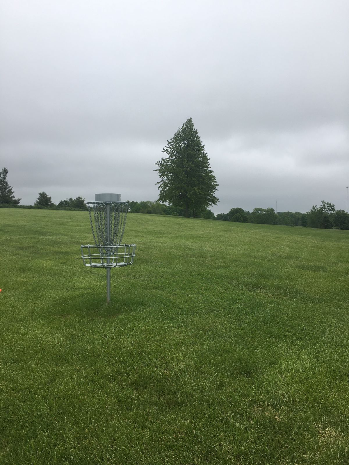 Hole 12 basket