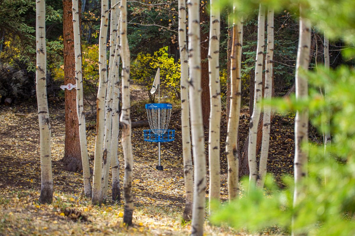 Hole 6 approach to B position

📸: Kevin Banker || Banker Cinefoto || September 2020
