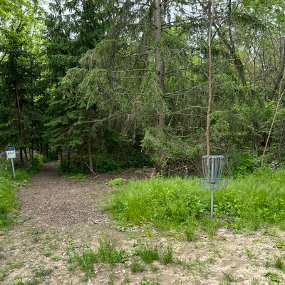 Hole 8 basket