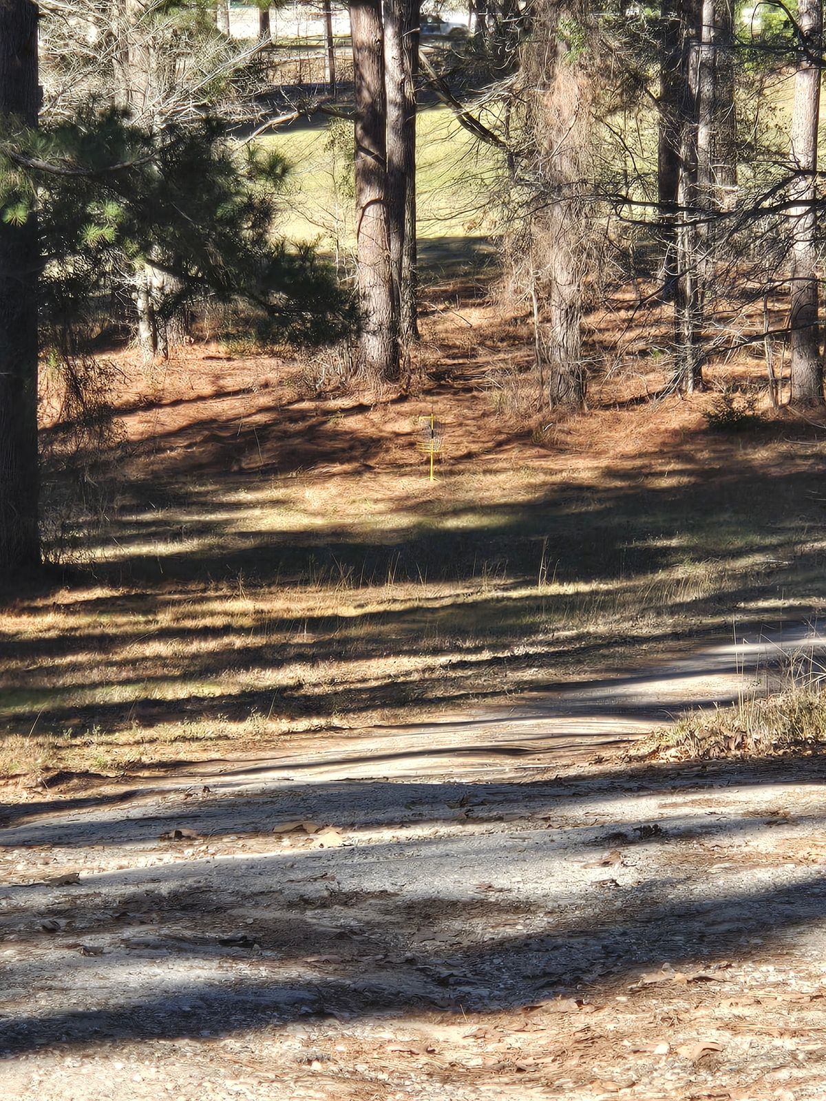 Hole 1 from top of driveway