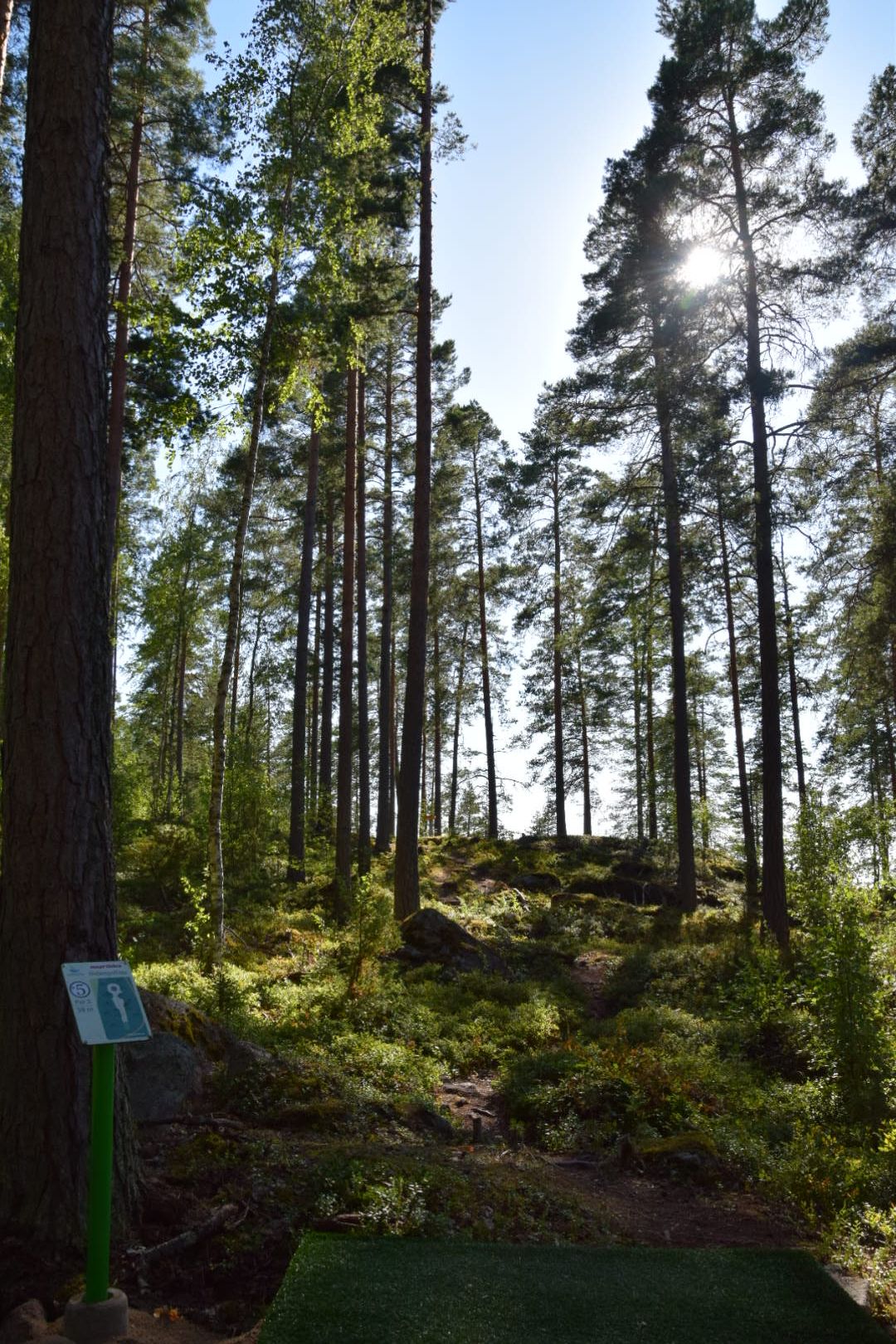Väylä 5. 58m Suora väylä, joka menee melko suureen ylämäkeen.