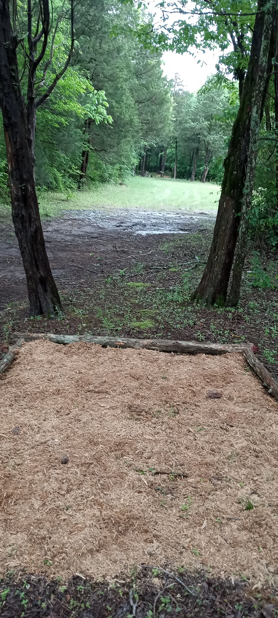 Am pad for hole 7 at the dragon