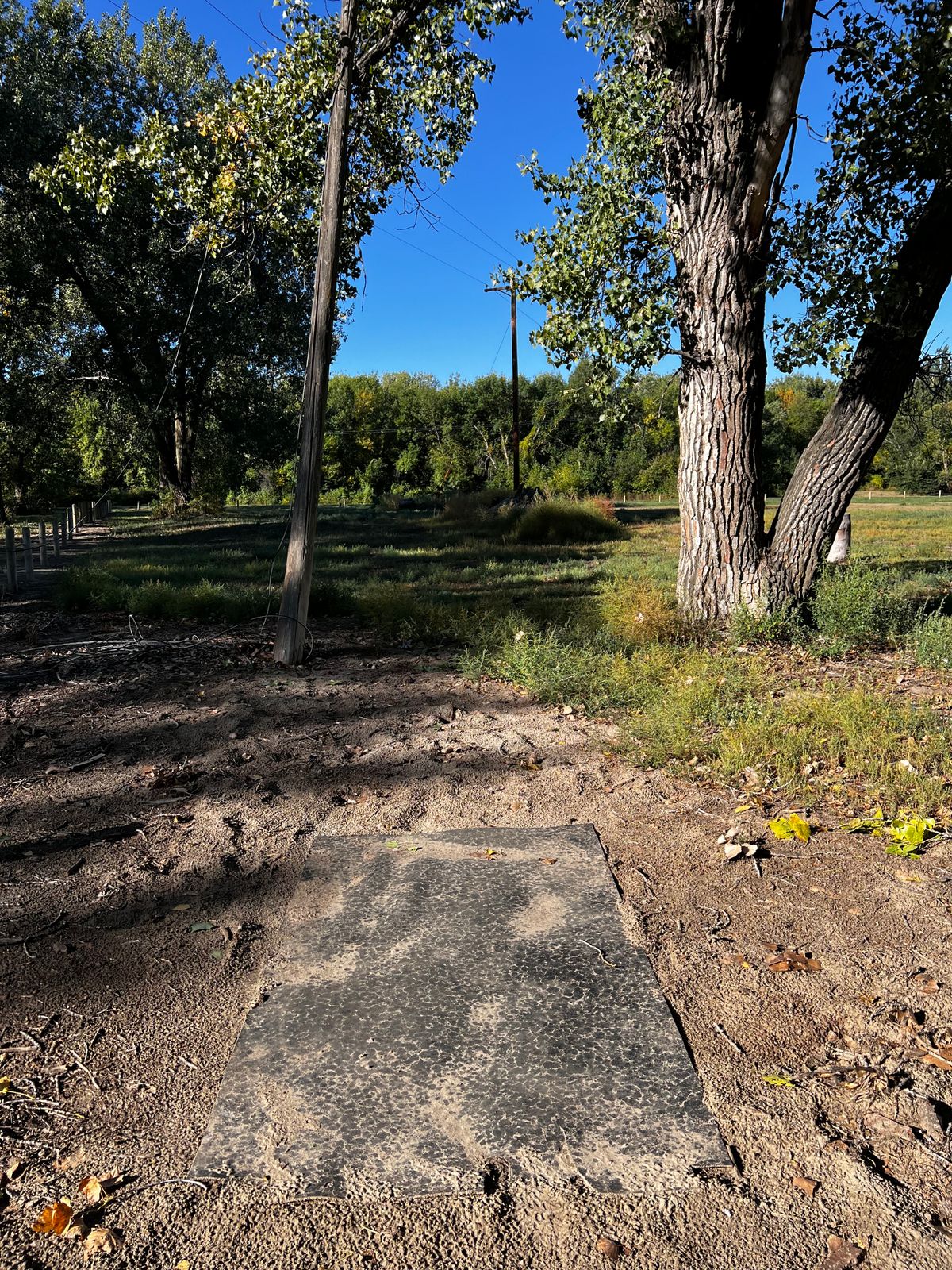 Tee 8