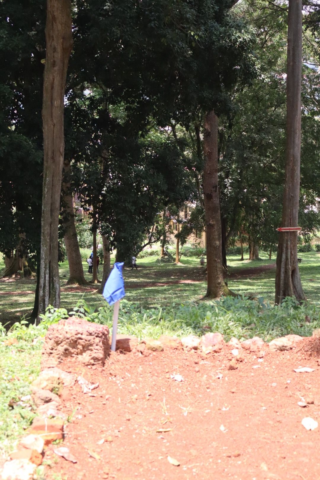 Hole 2 long tee