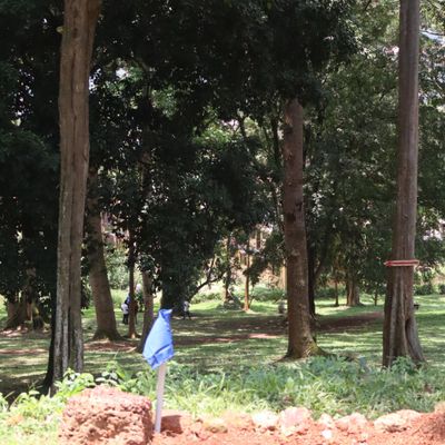 Hole 2 long tee