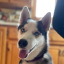 User avatar image