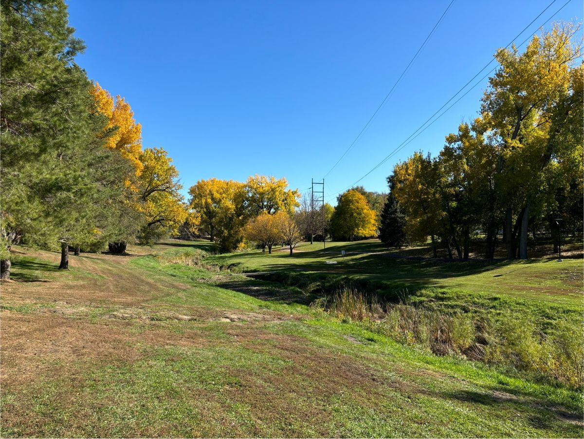 Hole 8 basket to tee view