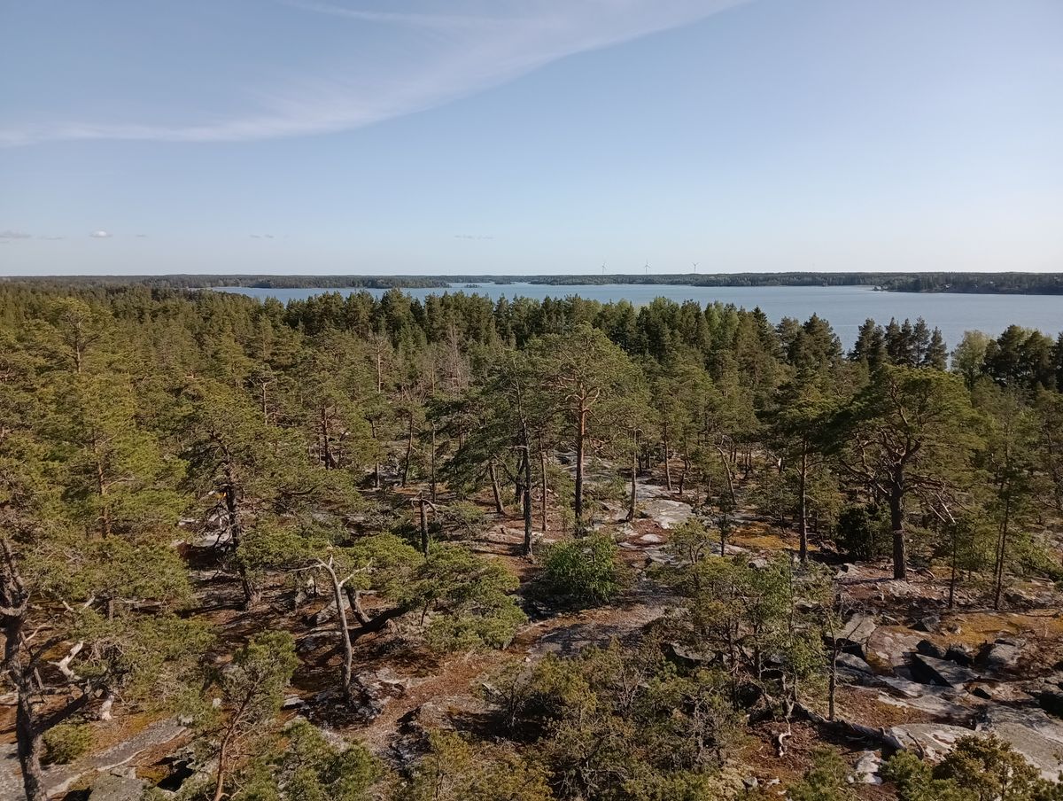 Från tornet