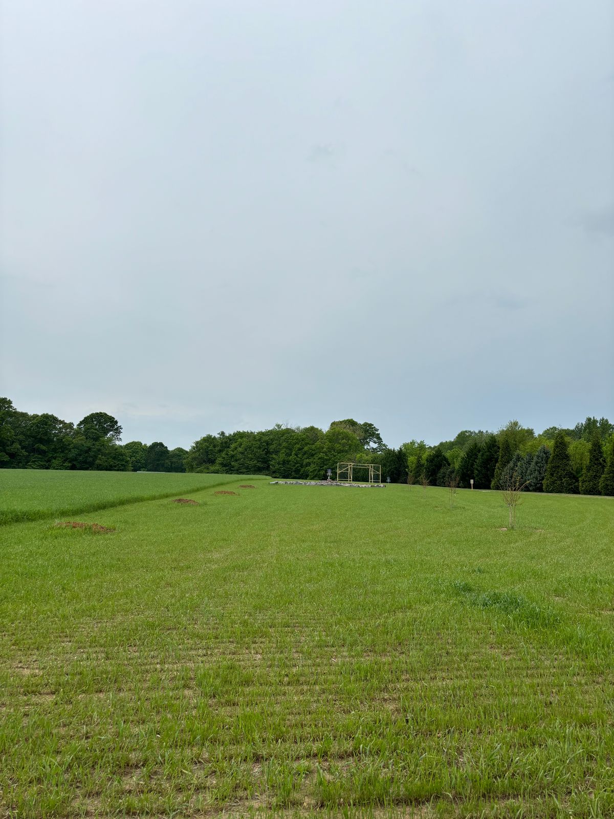 Hole 6