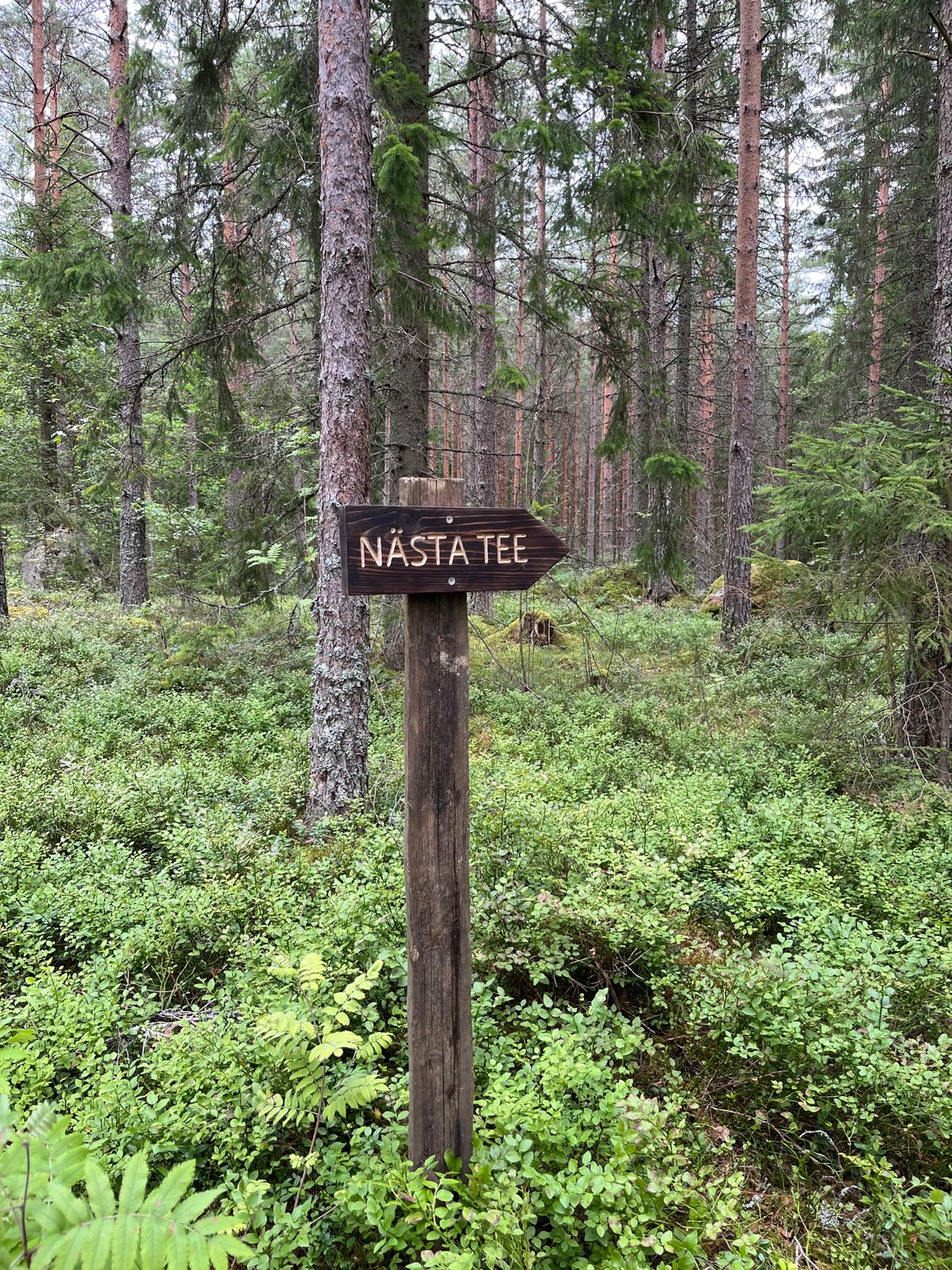 ”Next tee-skyltar” på samtliga hål 240726.