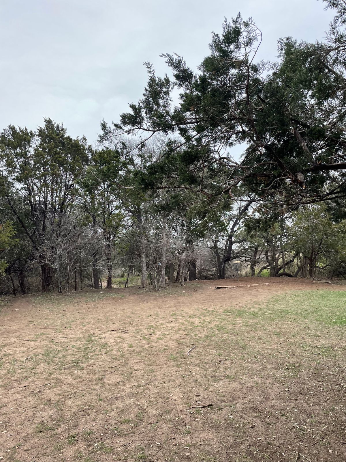 Back area of hole 12