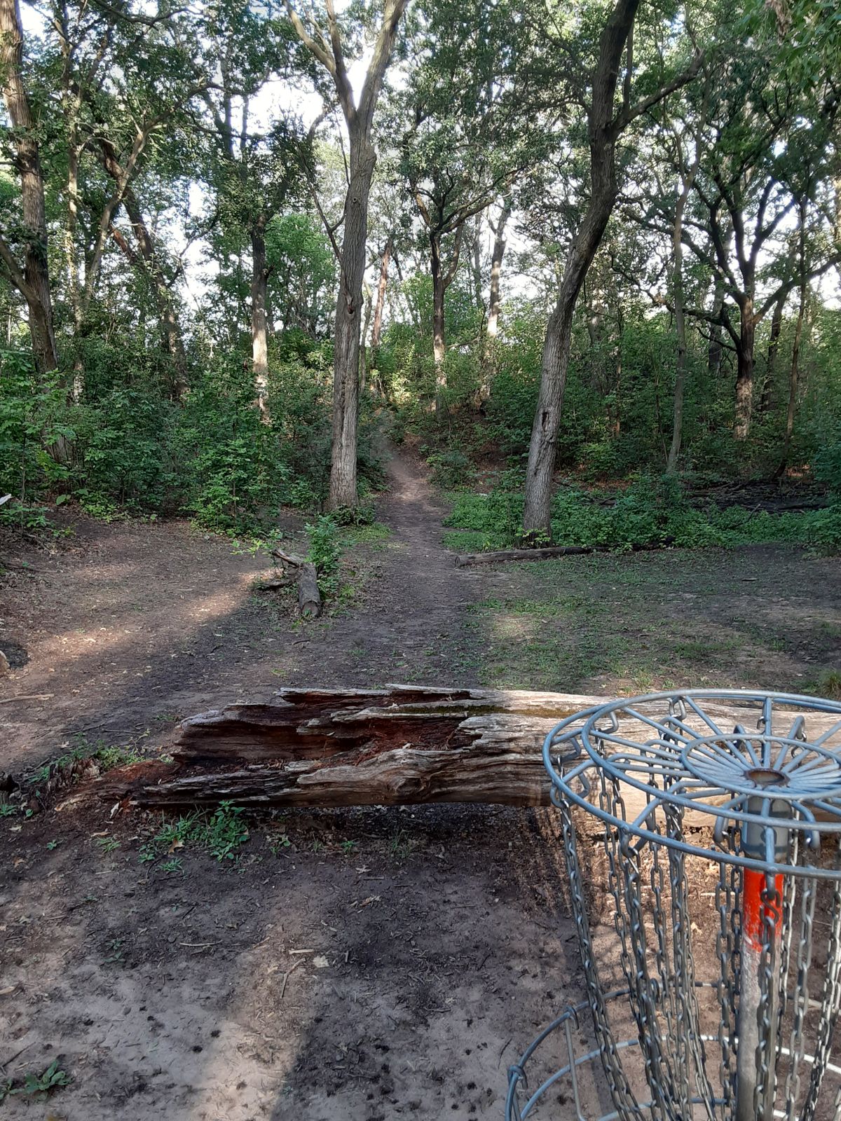 Looking back to tee pad from hole 12.