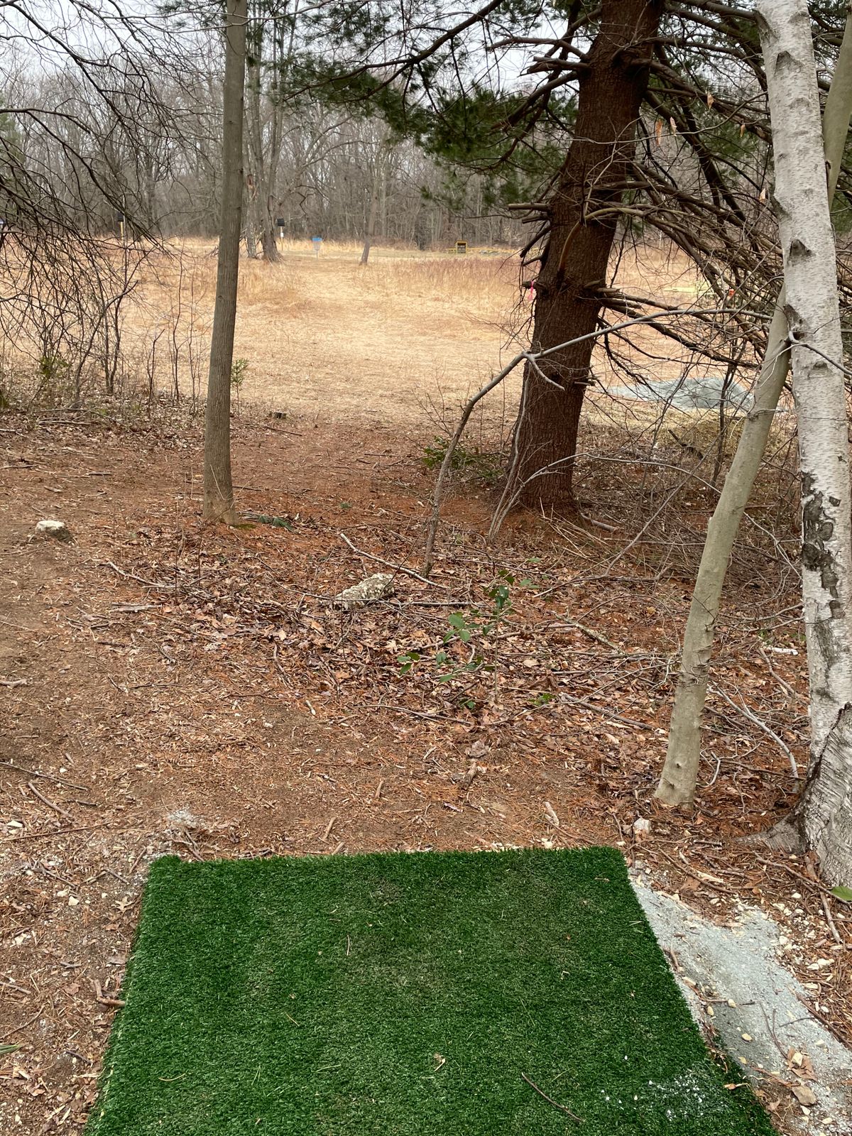 Hole 5