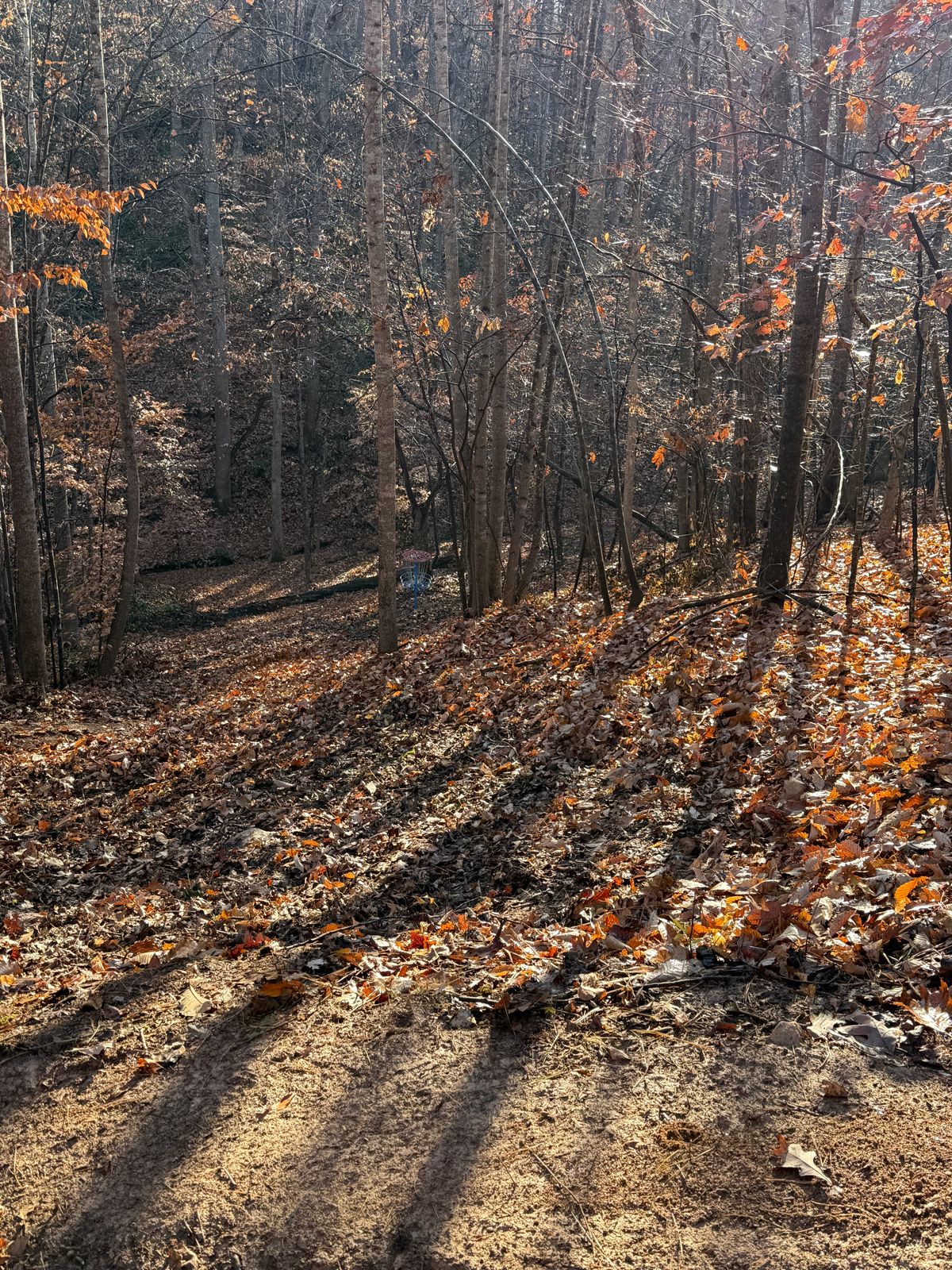 Fairway down the hill