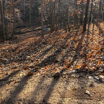 Fairway down the hill