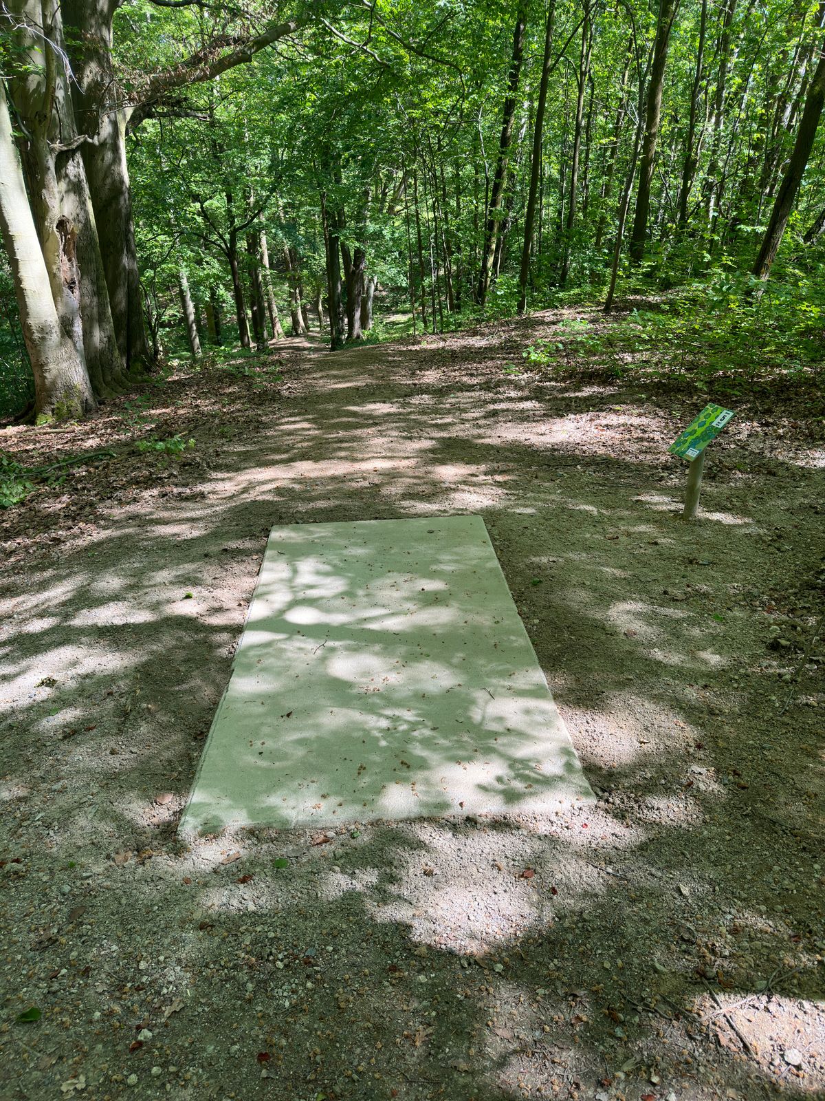 Hole 5