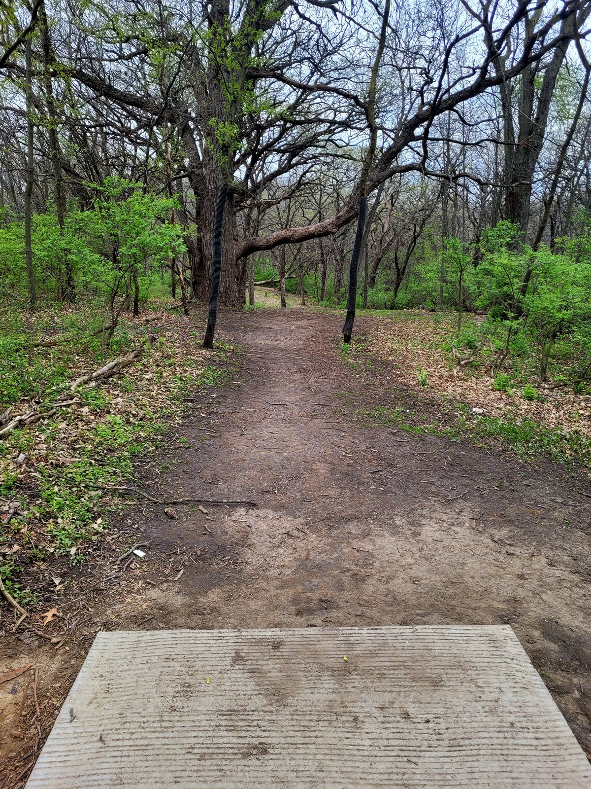 Hole 17 Long Tee