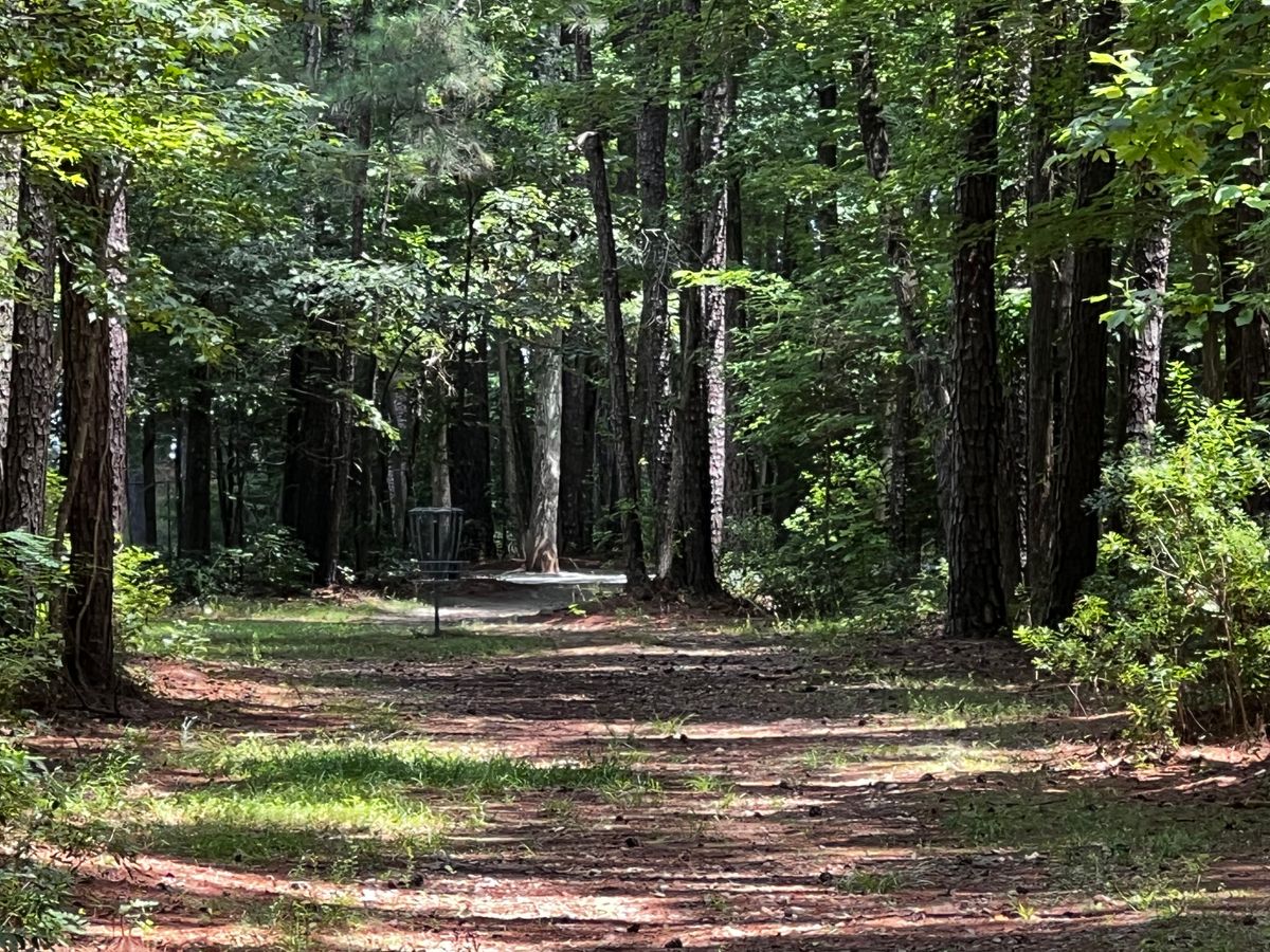 Hole 7 basket
