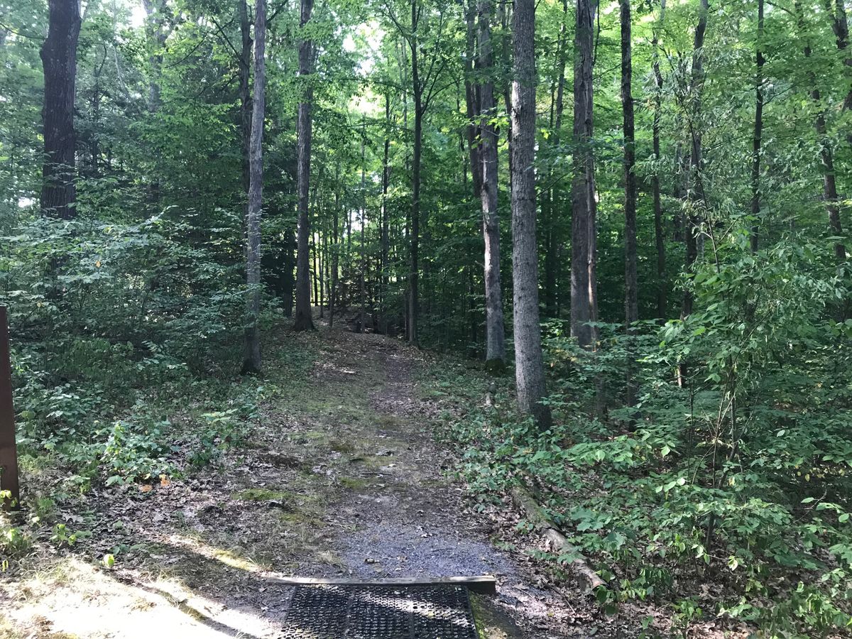 #12 tee/fairway 
Par 3