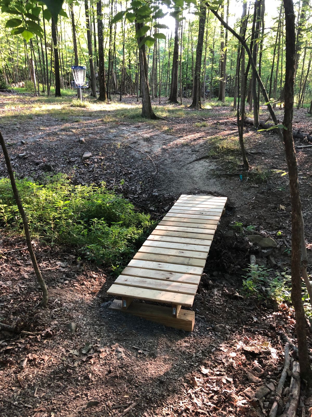 15 long green and bridge