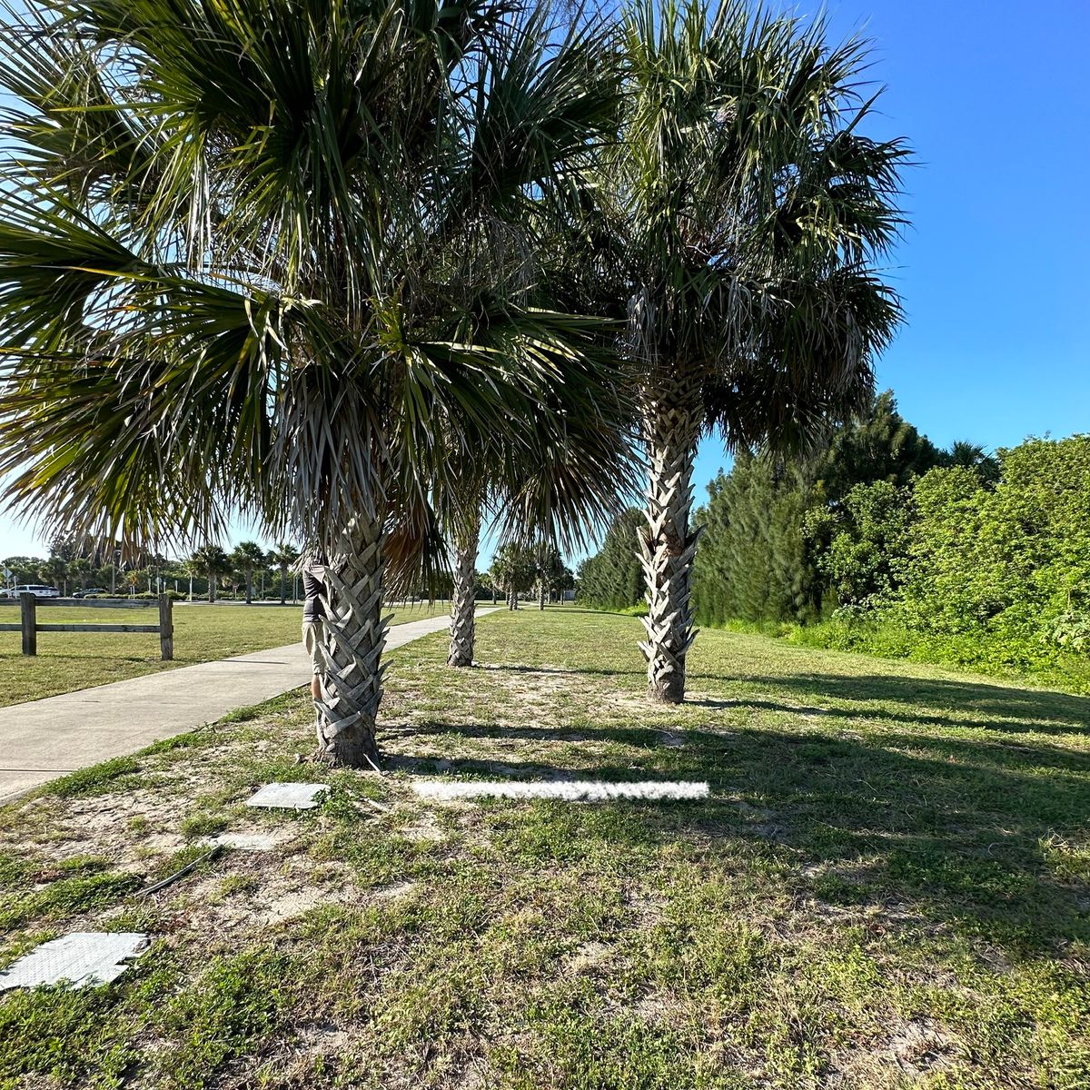Hole 9 white