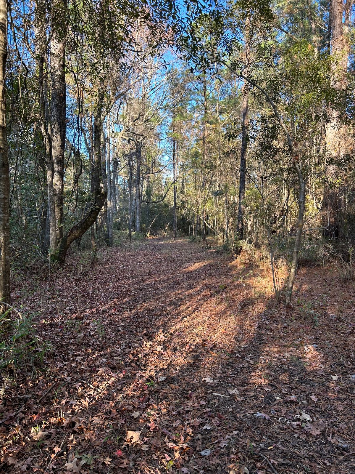 Hole 1