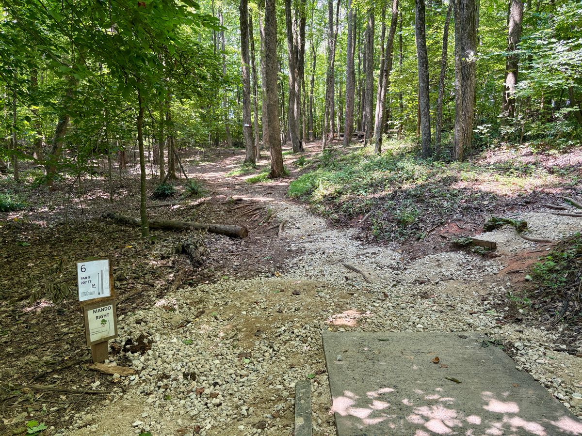 Hole 6 tee