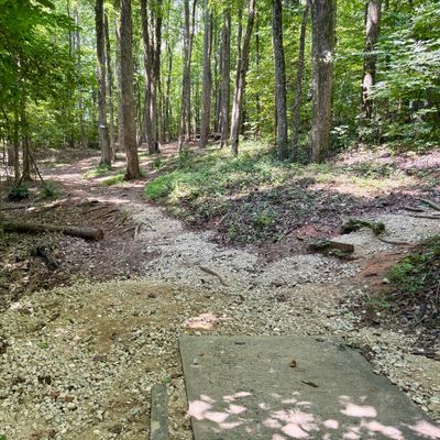 Hole 6 tee