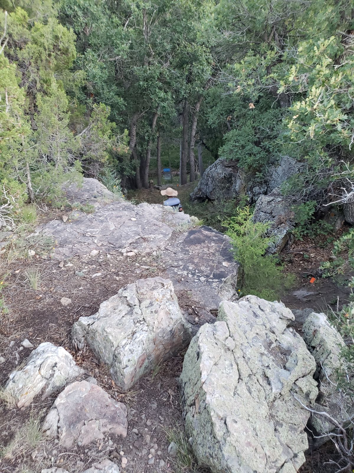 This photo doesn't do the 11th justice-it was steep!