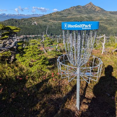 Hole 8 w/ Mt. Eyak