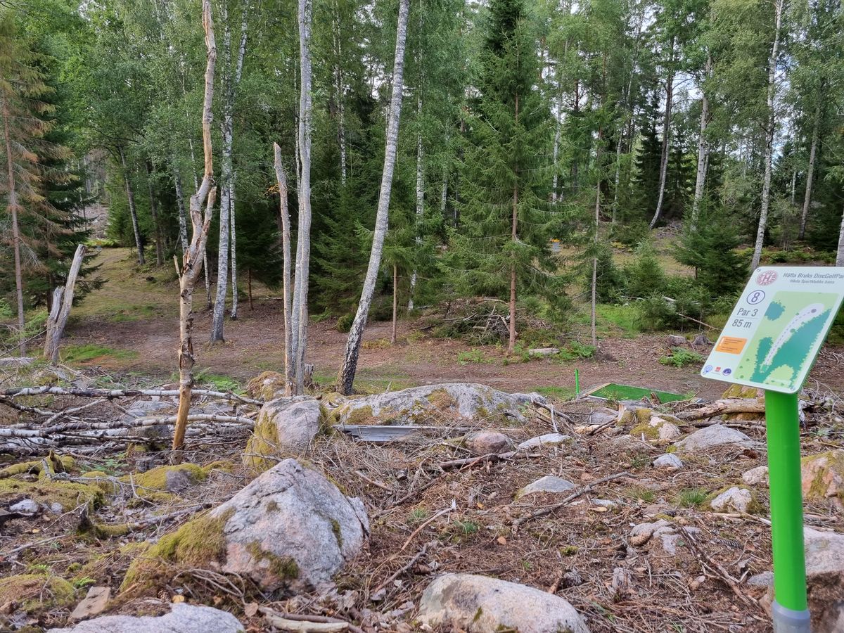 Vy från tee 8 där korg 2 och hål 3 syns